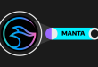 Manta Network